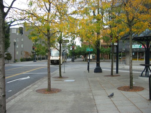 [Location 175mor looking east]