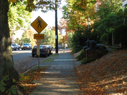[Location 22 looking east]
