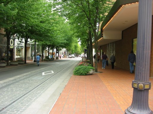 [Location 8mor looking east]