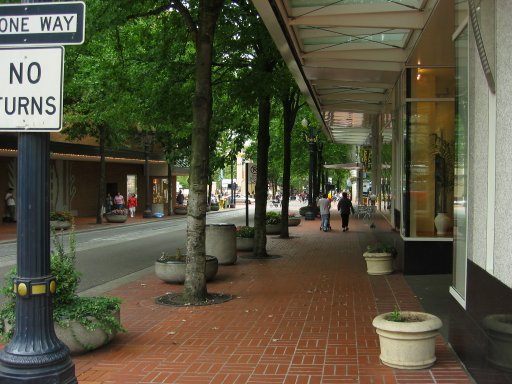 [Location 8yam looking east]