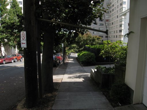 [Location green looking east]