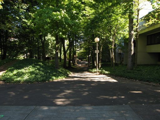 [Location sw3montg looking east]