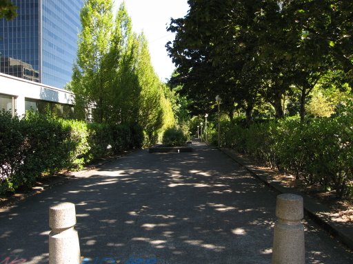 [Location sw4montg3 looking east]