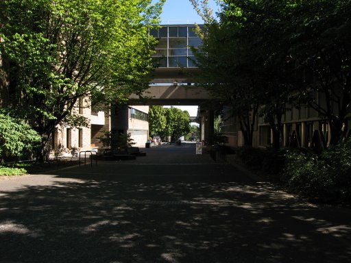 [Location sw8montg looking east]