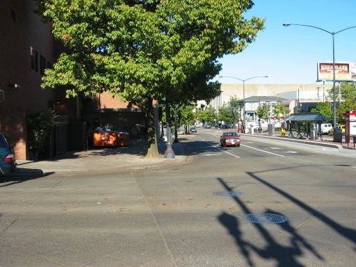 [Location 19 looking north]