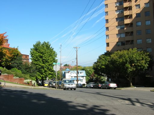 [Location 21 looking north]