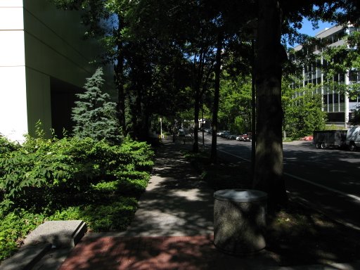 [Location sw1montg looking north]
