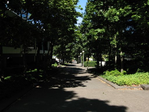 [Location sw3montg looking north]