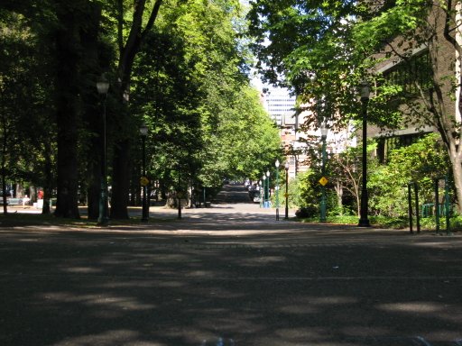 [Location sw8montg looking north]