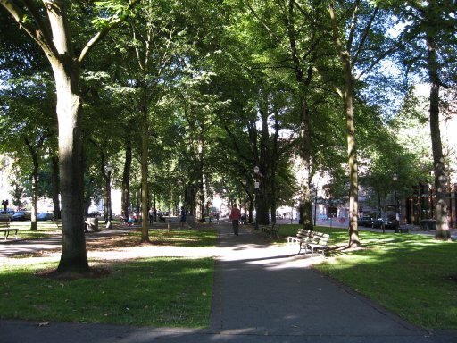 [Location swparkmad looking north]
