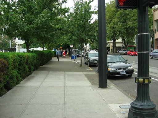 [Location 10wash looking south]