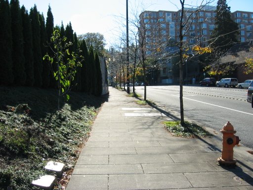 [Location 16 looking south]
