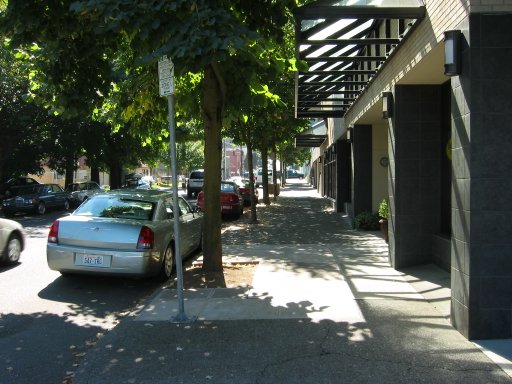 [Location 21d looking south]