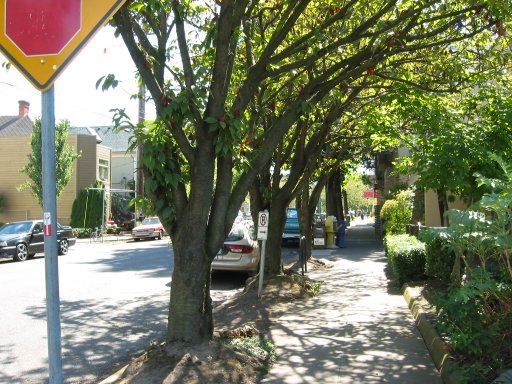 [Location 21o looking south]