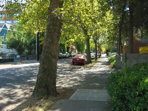 [Location 22o looking south]
