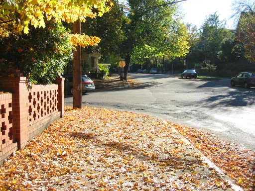 [Location 23 looking south]