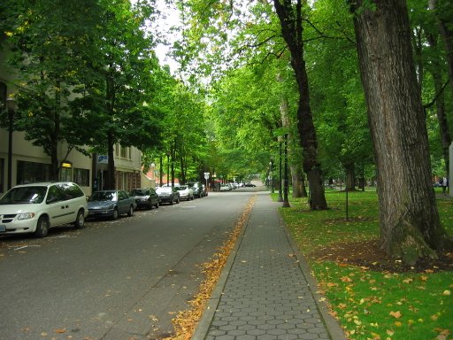 [Location 8jef looking south]