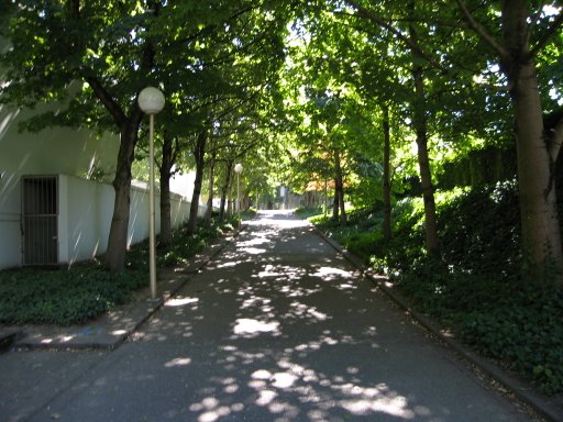 [Location sw3montg looking south]