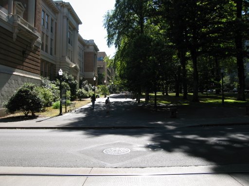 [Location sw8market looking south]