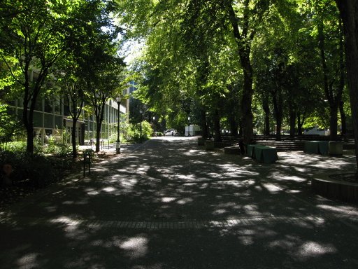 [Location sw8montg looking south]