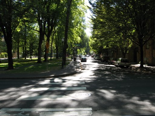 [Location sw9market looking south]