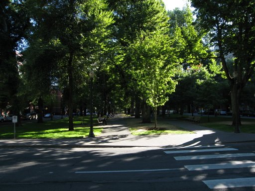 [Location swparkcol looking south]