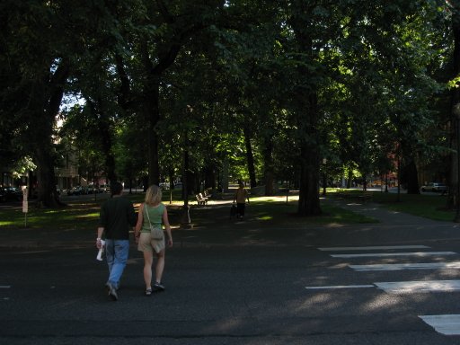 [Location swparkjef looking south]