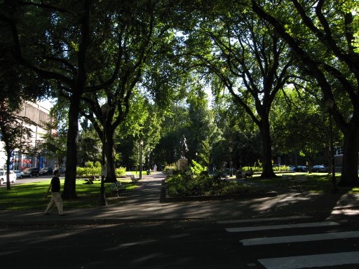 [Location swparkmad looking south]