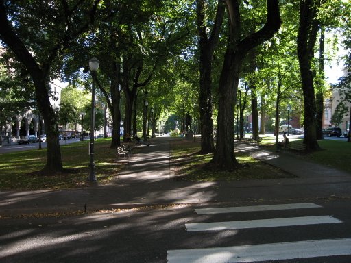 [Location swparkmain looking south]