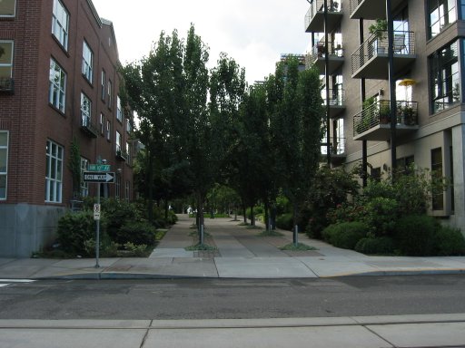 [Location 10i looking west]