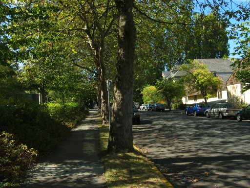 [Location 22o looking west]