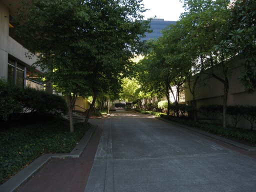 [Location sw0montg looking west]