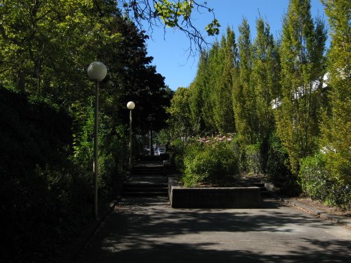 [Location sw3montg looking west]