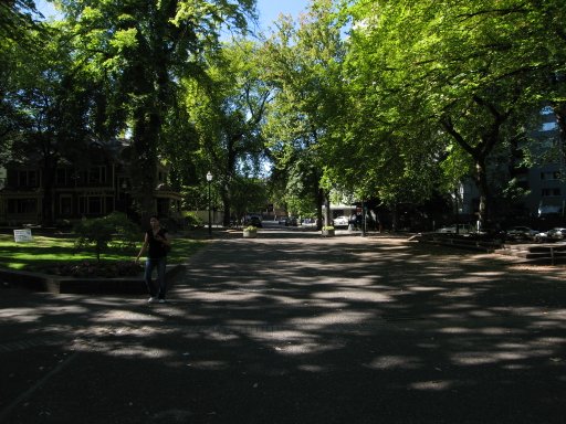 [Location sw8montg looking west]