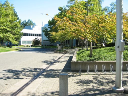 [Location 78 looking east]