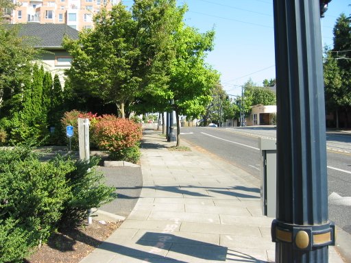 [Location 81 looking north]