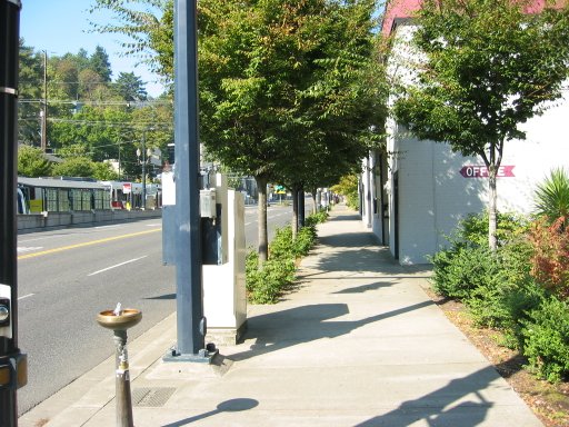 [Location 80 looking west]