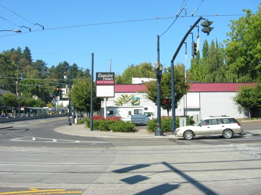 [Location 82 looking west]