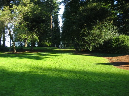 [Location 76 looking east]