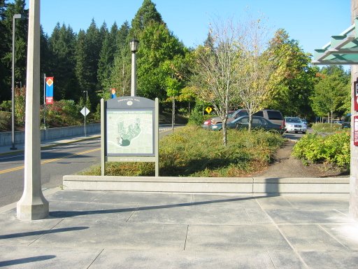 [Location 8 looking north]