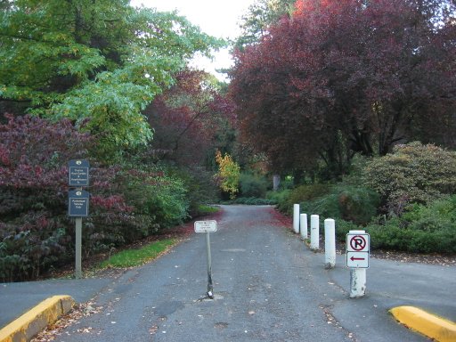 [SW Washington Park Dr & SW Washington Park Way looking south]