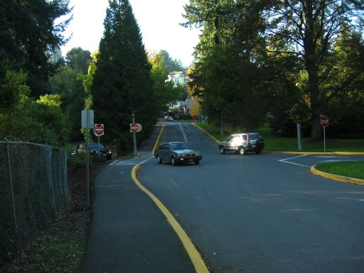 [Location 75 looking west]
