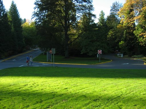 [Location 76 looking west]