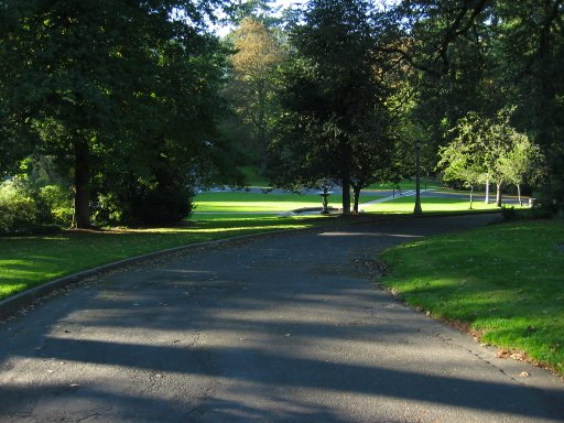 [Location 77 looking west]