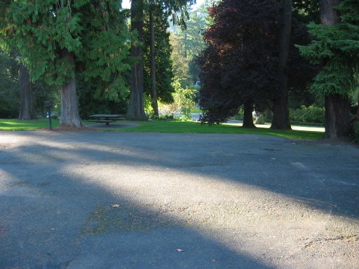 [Location 78 looking west]