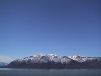 img_2504.jpg (1600 x 1200)