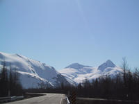 img_2506.jpg (1600 x 1200)