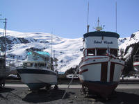 img_2512.jpg (1600 x 1200)
