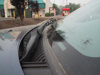 img_2984.jpg (1600 x 1200)