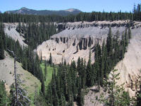 img_2987.jpg (1600 x 1200)